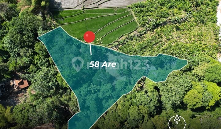 Tanah Seluas 5810 M2 di Tumbak Bayuh Dengan View Sawah Dan Sungai