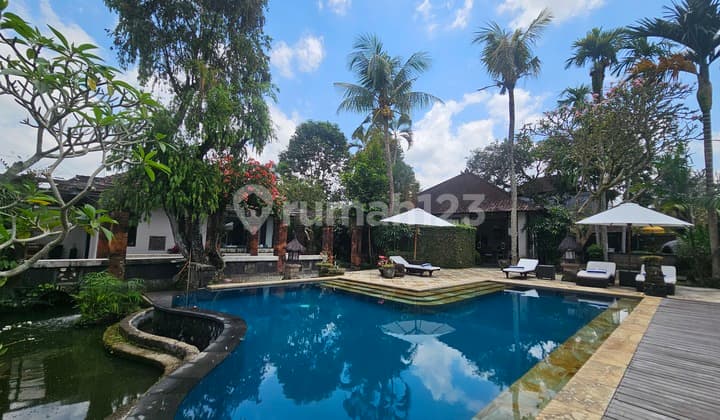 Sayan Yearly Villa - Quiet, lush and breezy 4 Bedroom