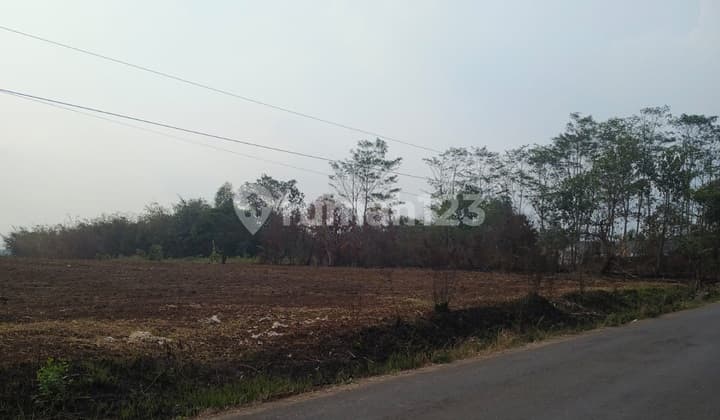 Tanah Luas Lokasi Padasuka Dekat Citra Maja Raya