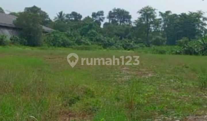 Tanah Lahan Untuk Gudang Pabrik Lokasi Strategis Di Cikupa
