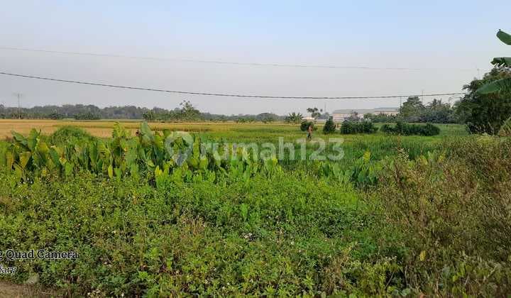 Dijual Tanah Luas 16 Hektar Daerah Cikande Banten