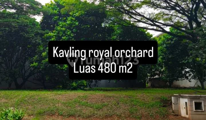 Premium Grand Orchard Plot, Kelapa Gading For Sale Premium Grand Orchard Plot, Kelapa Gading For Sale