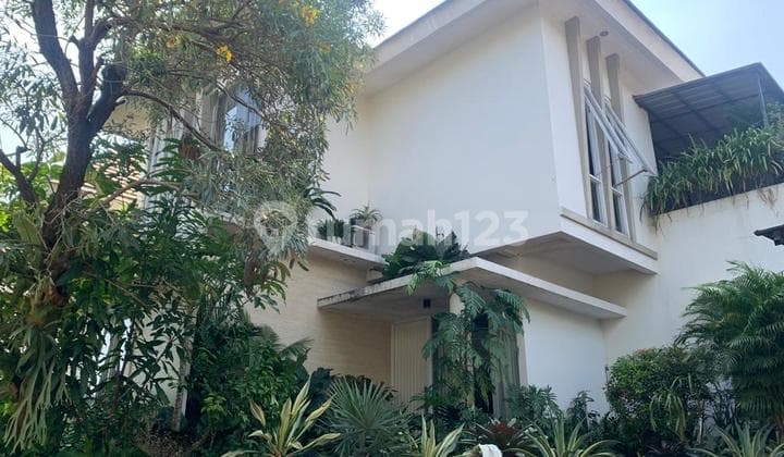 Rumah Tropical 2 Lantai Dalam Cluster di Jagakarsa