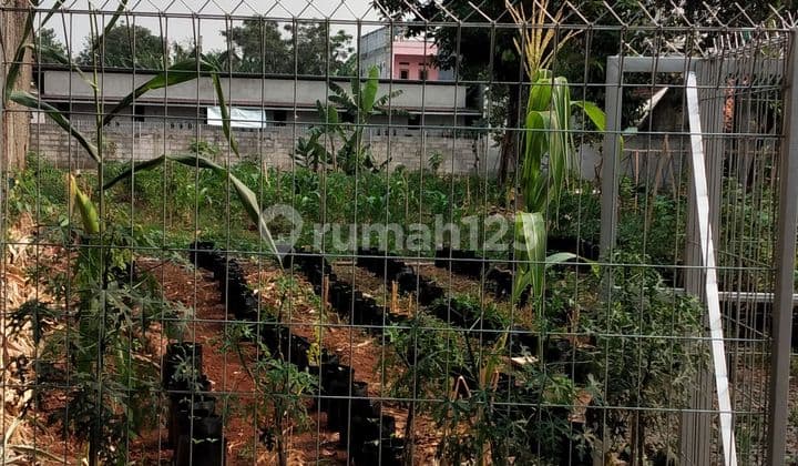 Dijual Cepat Tanah di Pondok Cabe Murah Jarang Ada Sdh Dipagar