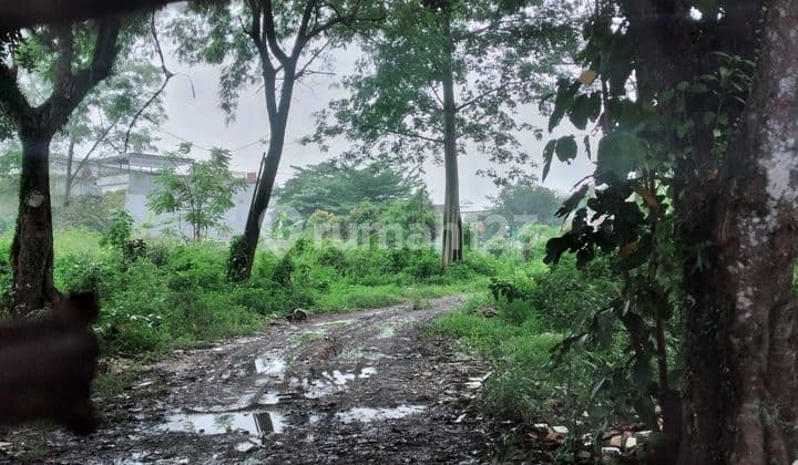 Dijual Cepat Tanah di Pondok Cabe Cinangka Murah Jarang Ada