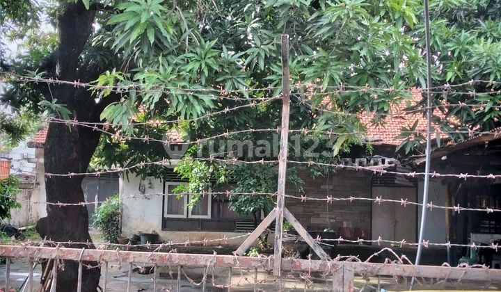 Dijual Cepat Tanah Murah Mendekati NJOP di Palmerah Jarang Ada