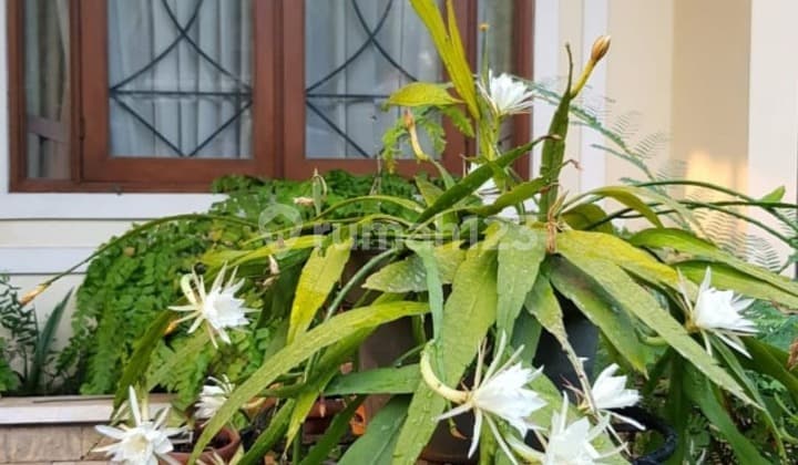 Dijual Rumah Nyaman dan Asri,Siap Huni, Pondok Kelapa L, Jakarta Timur