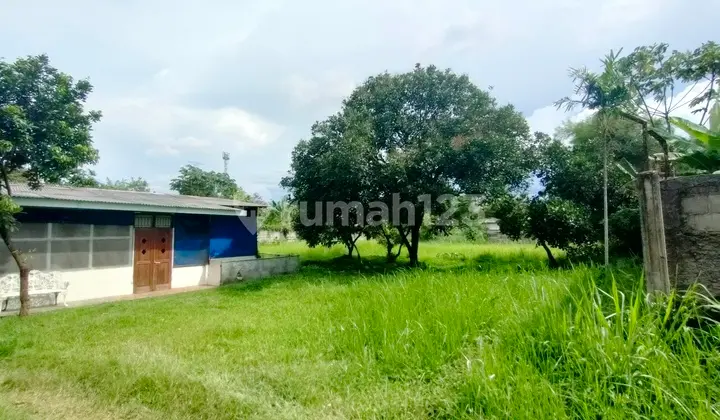 Ready-to-Build Land on Arco Raya Street, House + Tree in a Strategic Location