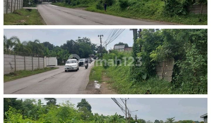 For Quick Sale Land with 40 Feet Access. For Quick Sale Land with 40 Feet Access.