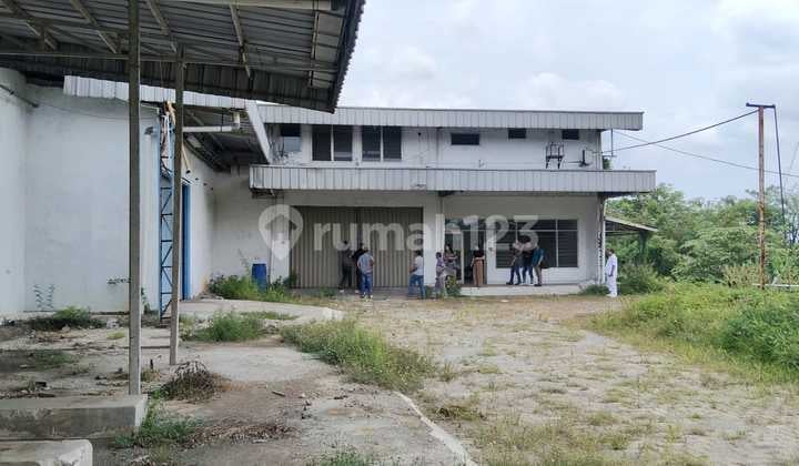 Di Jual Exp Pabrik Kacang.ah