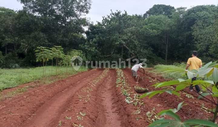 Dijual Cepat Tanah 5.321 M² SHM Dekat Tol Jorr 2, Bekasi, 015 Co 030