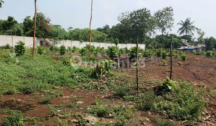 Tanah SHM 5300M2 di Cisauk Nempel Bsd Cocok untuk Cluster