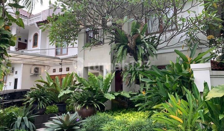 Rumah Bergaya Tropical Bagus Asri Dan Terawat Di Bintaro Jaya