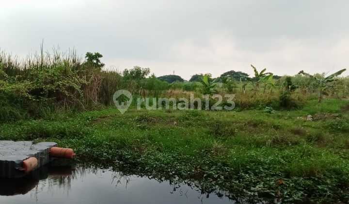 Dibawah NJOP 50% Tanah 2,5 Hektar Cocok Untuk.perumahan Dll di Kalideres Jakarta Barat