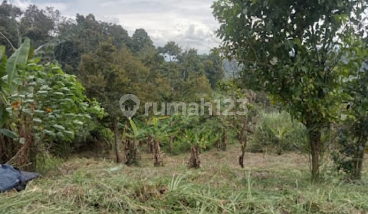 Lahan Tanah 2,3 Ha, View Bagus, Suasana Adem Area Pemukiman Villa Di Sukadamsi, Jonggol, Bogor