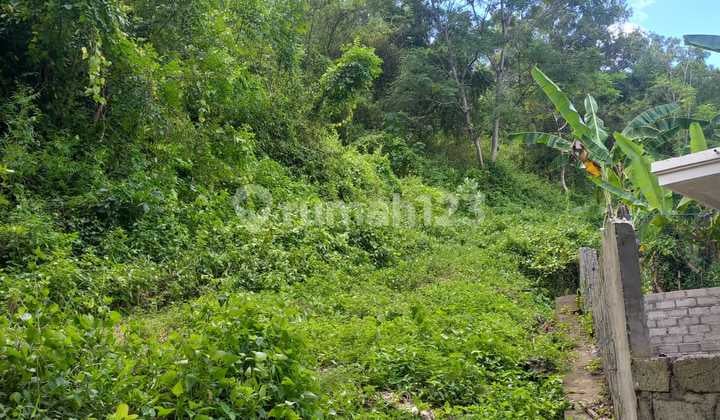 Dijual Cepat Tanah di Area Dekat Pelabuhan Padang Bai Area Wisata