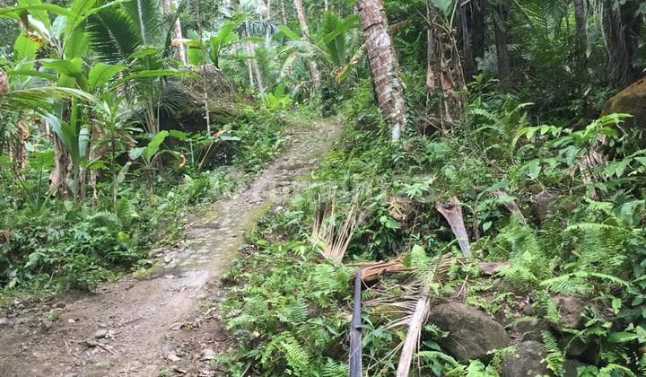 Dijual Tanah Perkebunan di Karangasem