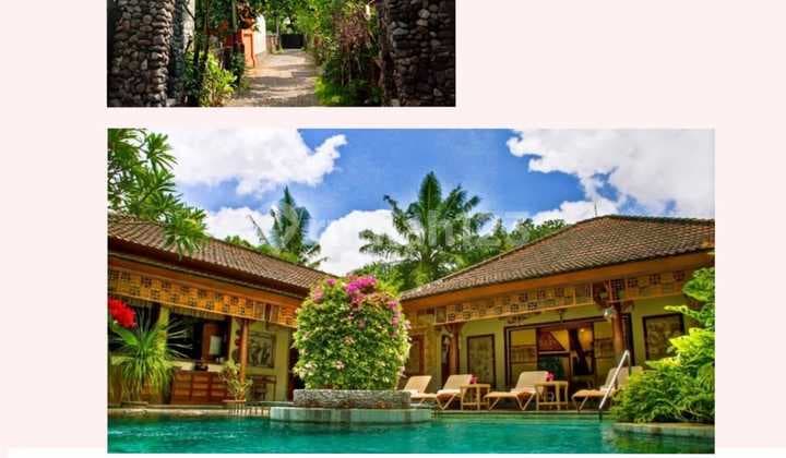 Quick Sale Artistic House in East Denpasar