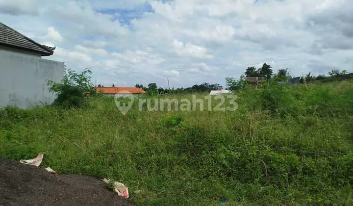 Quick Sale Land in Segara Wilis Pering, Gianyar