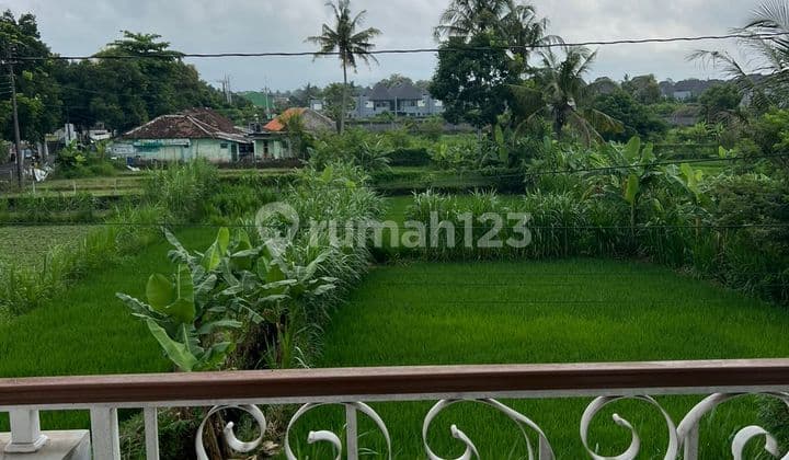 Dijual Rumah 2,5 Lantai Dan Pekarangan, Hook, Strategis, View Sawah, di Palagan Yogyakarta