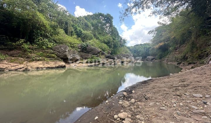 Jual Tanah Murah Tabanan Zona Kuning.3 Hwktar 17 Are Harga 60/ Are