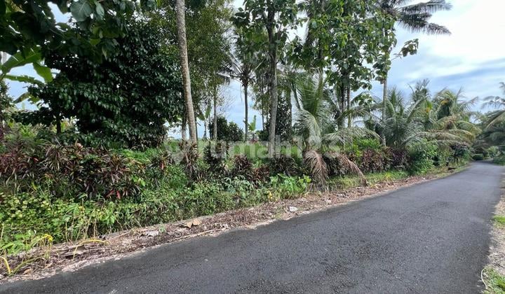 Selling Quality Cheap Land, Plot Size 12 Are, Price 100 Million/ Are