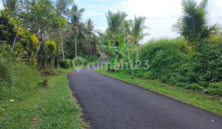 Sell Cheap Land in Tabanan Location 4200m2 Price 45 million/100/m2