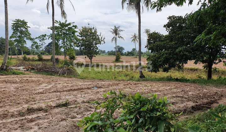 Di Jual Tanah SHM di Sayap Airport Raden Inten Lampung
