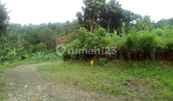 Tanah 7865 M2 SHM Citra Green Dago Bandung Utara, Bandung