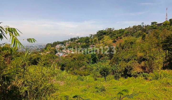Tanah 7865 m² SHM Di Citra Green Dago Bandung