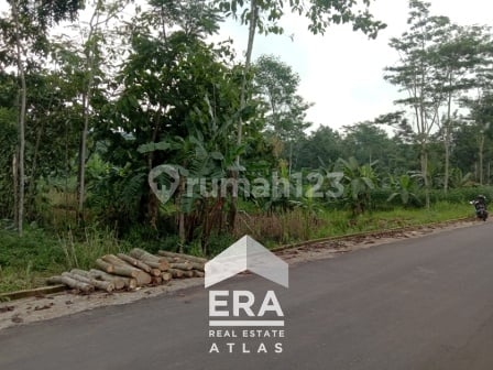 Strategic Land for Warehouses, Homes, Chicken Farms in Sampetan, Ampel, Boyolali