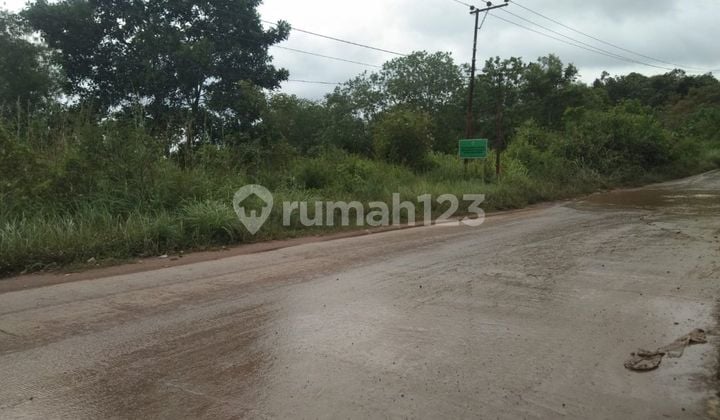 TANAH PINGGIR JALAN BESAR PROSPEK PENGEMBANGAN SAMARINDA PALARAN 0266