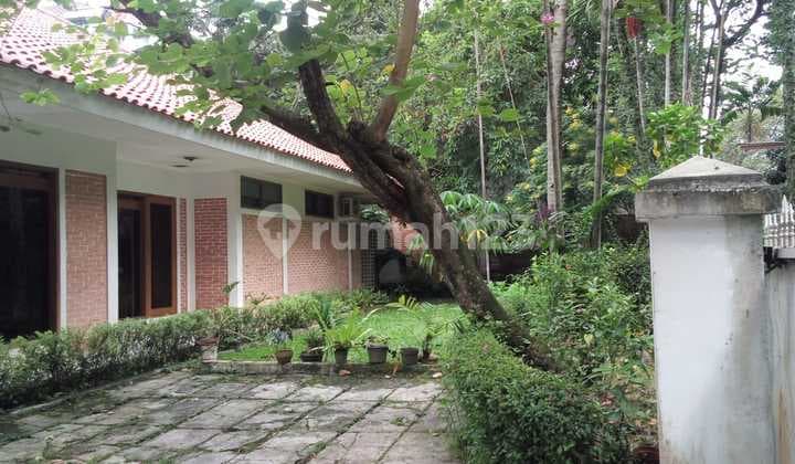 Rumah Cipete Damai Rindang Asri Adem .....Lokasi Strategis Jln Utama Cipete Namun Tersembunyi Sehingga Private Tenang Damai Utk Hunian Tinggal Yg Butuh Ketenangan Hidup Sehari hari....