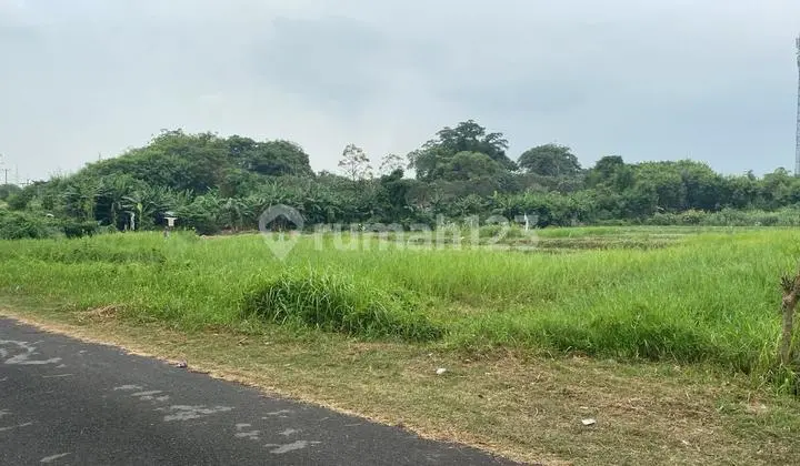 Kavling 6 Hektar Harga Per Meter di Karawang Timur