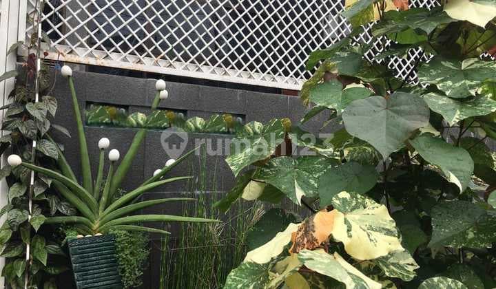 Rumah 2 Lantai 14X14m² Bagus Siap Huni SHM Sunter, Jakarta Utara