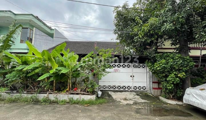 5992-Lu di di Selling Old House in Disunter Podomoro 5992-Lu di di Selling Old House in Disunter Podomoro