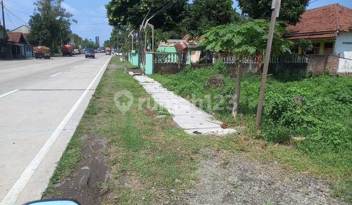 Lahan Zona Industri Strategis Di Perak Jombang