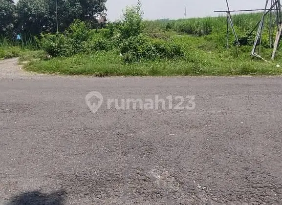 Lahan Sawah Nol Jalan Raya Sumobito Jombang