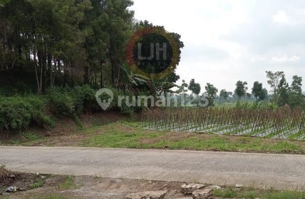 Kavling di Desa Tuwel