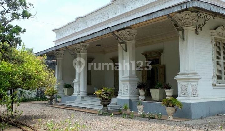 Rumah Antik Bagus Cocok untuk Hotel, Resto, Museum