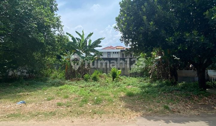 Tanah Kavling Murah Luas Asri Di Caman Jatibening Timur Jakarta