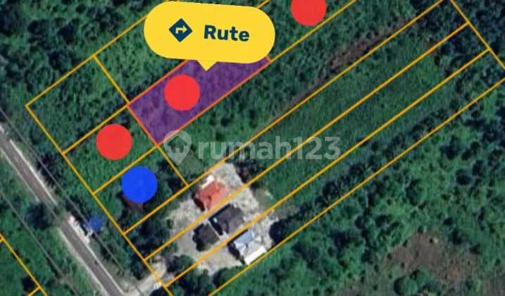 For Sale! Murmer Dan Lokasi Strategis! Tanah Di Palangkaraya!