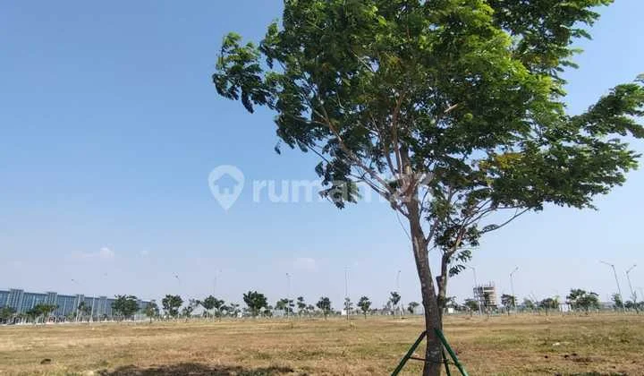 Best Deal, Wall Street Plot PIK 2 Area 1200m2 Prime Position