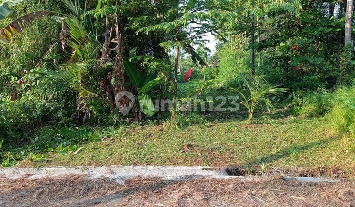 Wow!! Land For Sale In Gamping Rowo Village, Sidoarjo, Near Tjiwi Kimia Factory, Suitable For Boarding House Business.