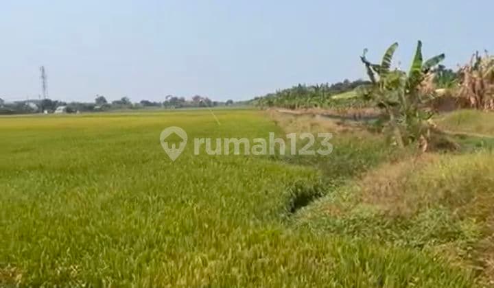 Dijual Tanah Nol Jl Raya Di Lingkar Timur Sidoarjo (gebang)