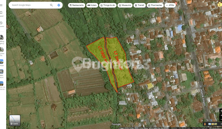 Tanah Kebun cocok untuk Villa di Sanget Singaraja