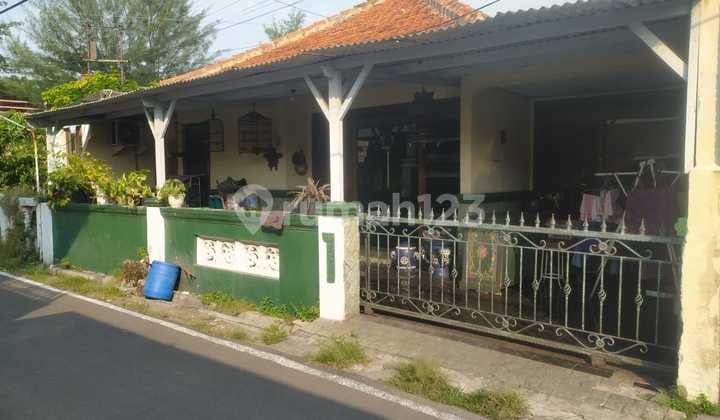 Disewakan!!! Rumah Siap Huni di Lokasi Strategis Cakrawala Tengah No. 1, Semarang Barat