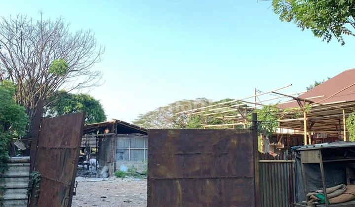 Kavling di Tangerang Lokasi Strategis Dekat Jalan Raya Cocok untuk Usaha