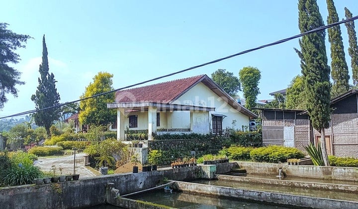 Rumah Butuh Minim Renovasi SHM di Cibodas