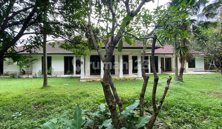 Very Large Strategic Yard Kemang South Jakarta